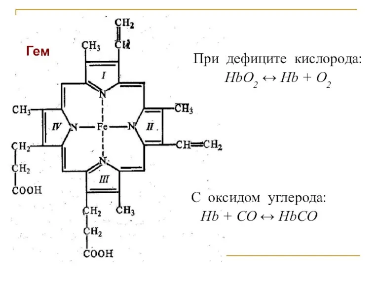 Гем При дефиците кислорода: HbO2 ↔ Hb + O2 С