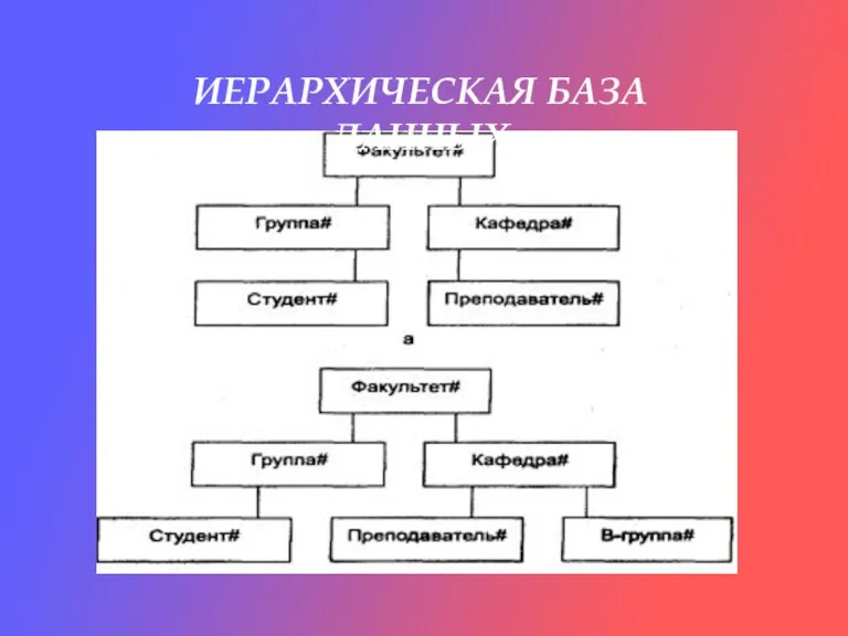 ИЕРАРХИЧЕСКАЯ БАЗА ДАННЫХ ИЕРАРХИЧЕСКАЯ БАЗА ДАННЫХ