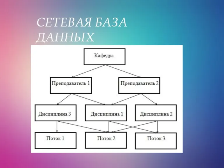 СЕТЕВАЯ БАЗА ДАННЫХ СЕТЕВАЯ БАЗА ДАННЫХ