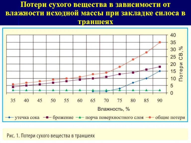 Потери сухого вещества в зависимости от влажности исходной массы при закладке силоса в траншеях