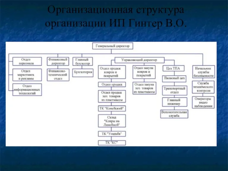 Организационная структура организации ИП Гинтер В.О.