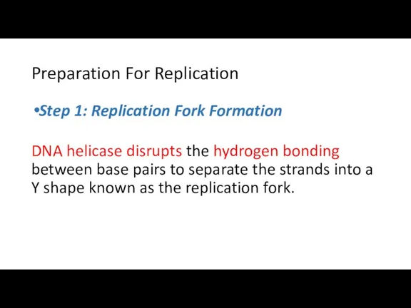 Preparation For Replication Step 1: Replication Fork Formation DNA helicase