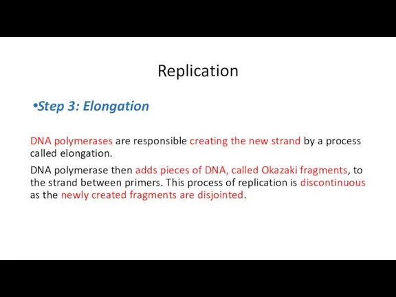 Replication Step 3: Elongation DNA polymerases are responsible creating the