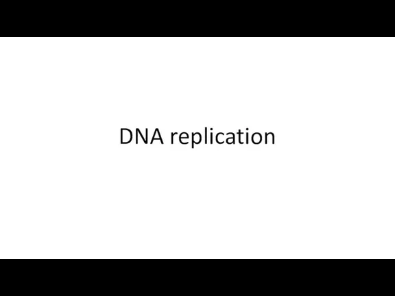 DNA replication