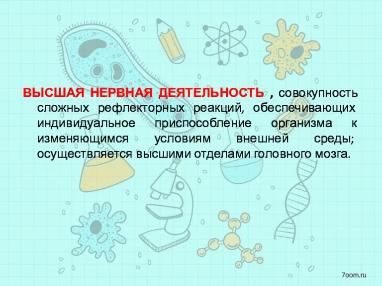 ВЫСШАЯ НЕРВНАЯ ДЕЯТЕЛЬНОСТЬ , совокупность сложных рефлекторных реакций, обеспечивающих индивидуальное