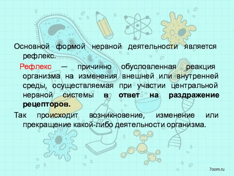 Основной формой нервной деятельности является рефлекс. Рефлекс — причинно обусловленная