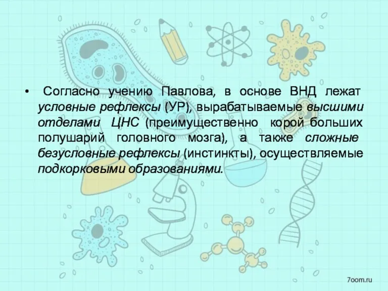 Согласно учению Павлова, в основе ВНД лежат условные рефлексы (УР),