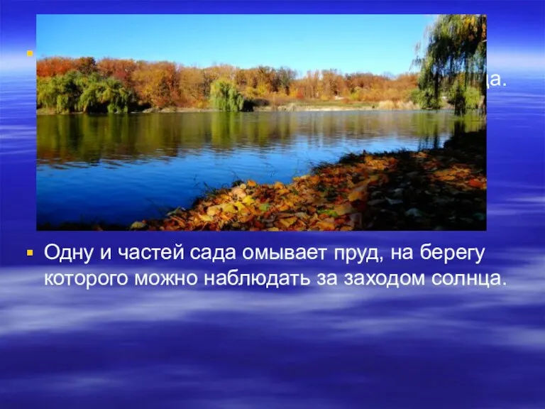 Одну и частей сада омывает пруд, на берегу которого можно