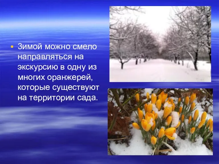 3имой можно смело направляться на экскурсию в одну из многих оранжерей, которые существуют на территории сада.