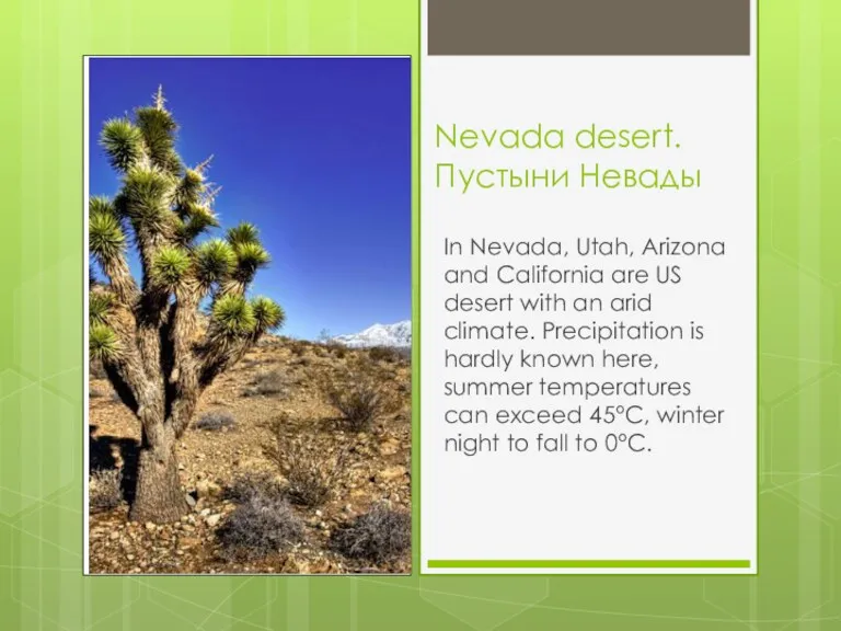 Nevada desert. Пустыни Невады In Nevada, Utah, Arizona and California