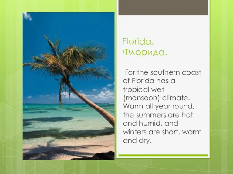 Florida. Флорида. For the southern coast of Florida has a