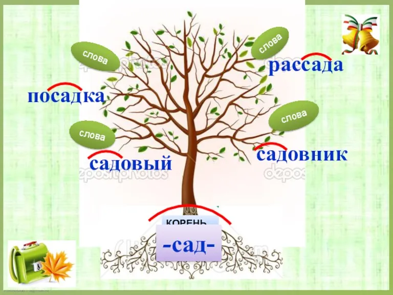 КОРЕНЬ -сад- рассада посадка садовый садовник слова слова слова слова