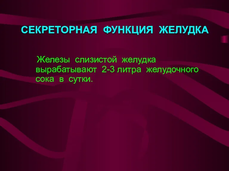 СЕКРЕТОРНАЯ ФУНКЦИЯ ЖЕЛУДКА Железы слизистой желудка вырабатывают 2-3 литра желудочного сока в сутки.