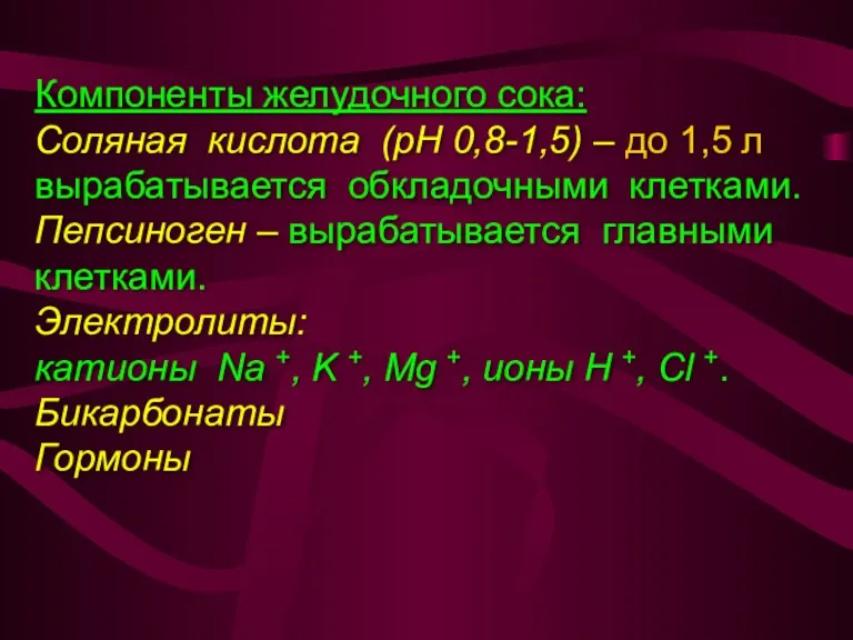 Компоненты желудочного сока: Соляная кислота (рН 0,8-1,5) – до 1,5