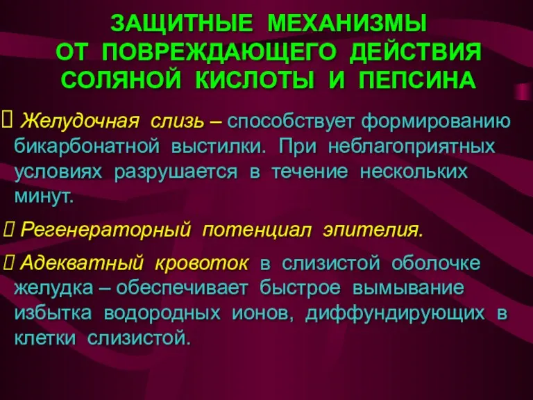 ЗАЩИТНЫЕ МЕХАНИЗМЫ ОТ ПОВРЕЖДАЮЩЕГО ДЕЙСТВИЯ СОЛЯНОЙ КИСЛОТЫ И ПЕПСИНА Желудочная