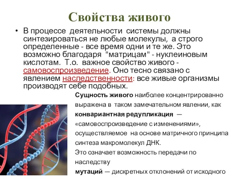 Свойства живого В процессе деятельности системы должны синтезироваться не любые