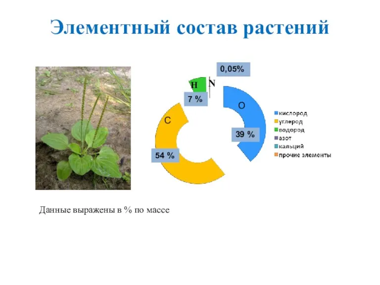 Элементный состав растений 39 % О С 54 % Н