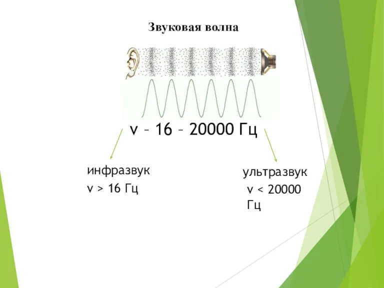 Звуковая волна ν – 16 – 20000 Гц инфразвук ультразвук ν > 16 Гц ν