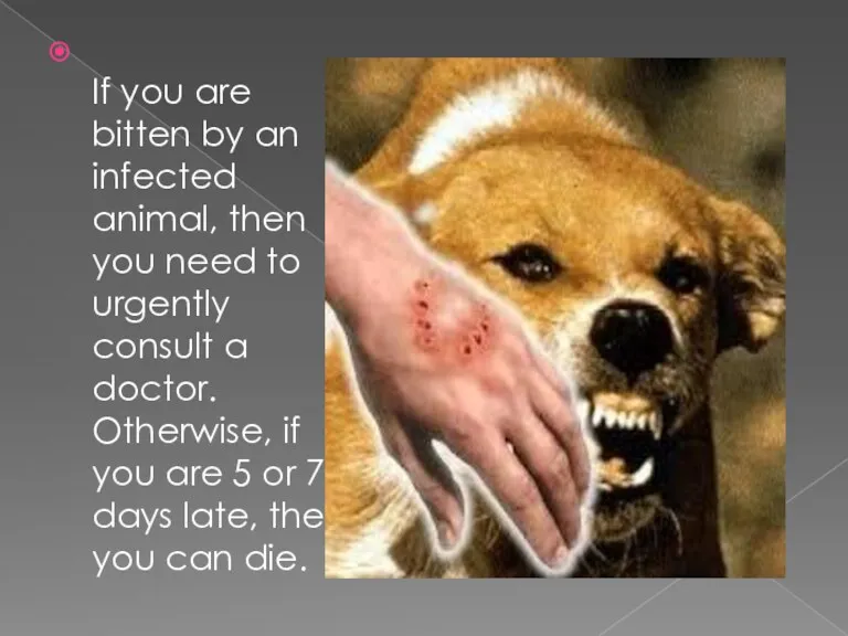 If you are bitten by an infected animal, then you need to urgently