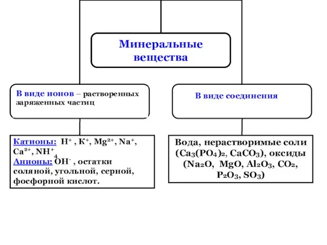 Катионы: Н+ , К+, Mg2+, Na+, Ca2+, NН+4 Анионы: ОН-