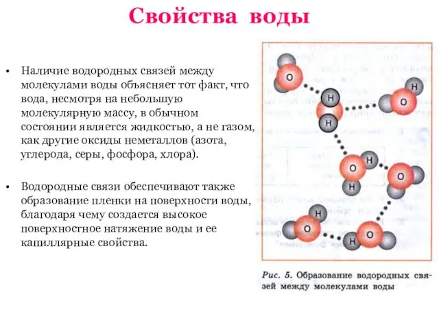 Свойства воды Наличие водородных связей между молекулами воды объясняет тот