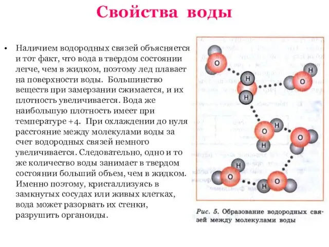 Свойства воды Наличием водородных связей объясняется и тот факт, что