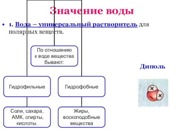 Значение воды 1. Вода – универсальный растворитель для полярных веществ. Диполь