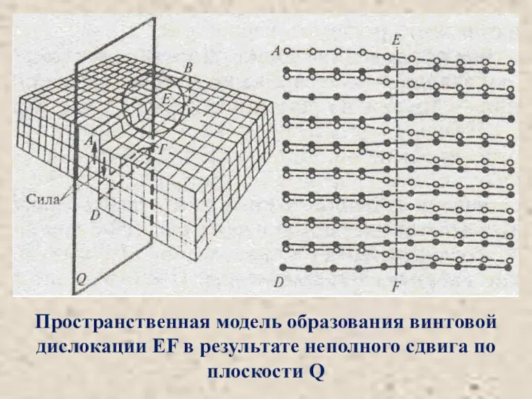 Пространственная модель образования винтовой дислокации EF в результате неполного сдвига по плоскости Q