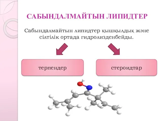 САБЫНДАЛМАЙТЫН ЛИПИДТЕР Сабындалмайтын липидтер қышқылдық және сілтілік ортада гидролизденбейды. терпендер стероидтар