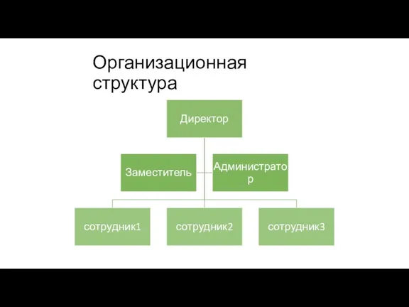 Организационная структура