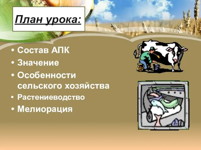 План урока: Состав АПК Значение Особенности сельского хозяйства Растениеводство Мелиорация