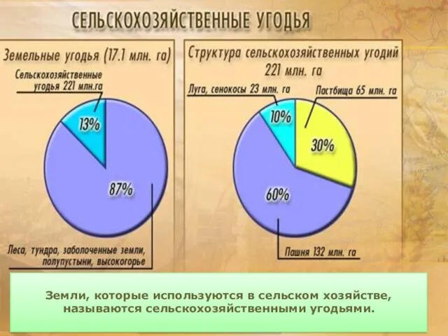 Земли, которые используются в сельском хозяйстве, называются сельскохозяйственными угодьями.