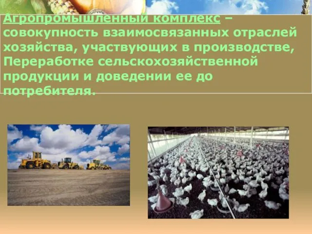 Агропромышленный комплекс – совокупность взаимосвязанных отраслей хозяйства, участвующих в производстве, Переработке сельскохозяйственной продукции