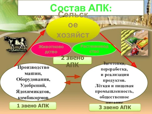 Состав АПК: Сельское хозяйство Животноводство Растениеводство 2 звено АПК Производство