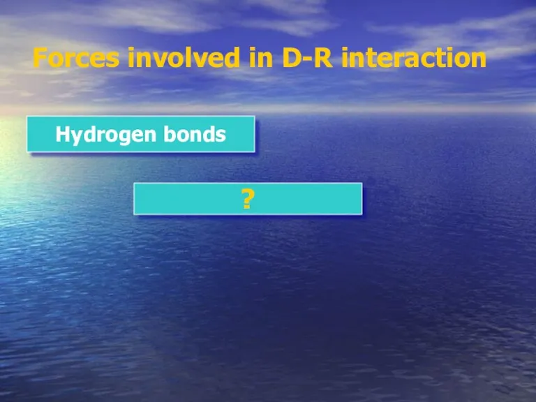 Forces involved in D-R interaction Hydrogen bonds ?