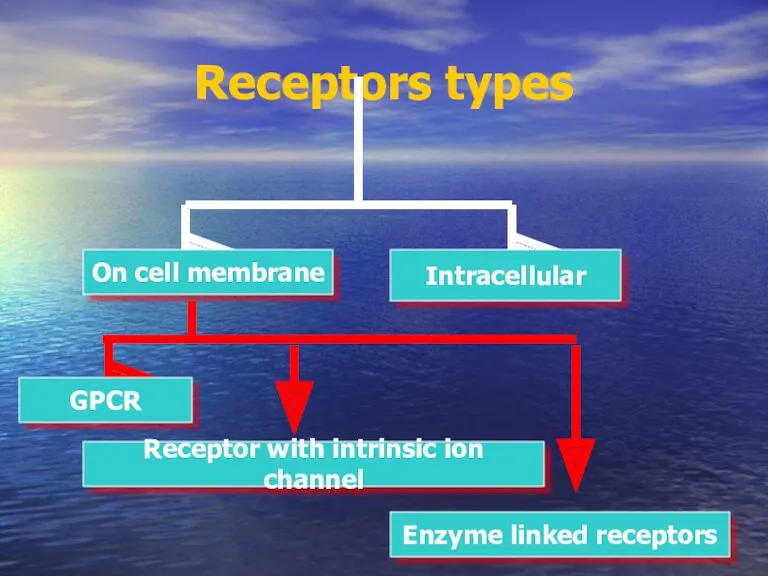 Receptors types On cell membrane Intracellular Receptor with intrinsic ion channel GPCR Enzyme linked receptors