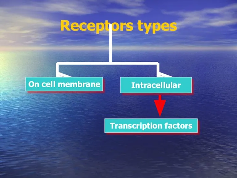 Receptors types On cell membrane Intracellular Transcription factors
