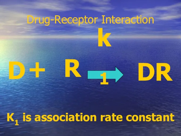 Drug-Receptor Interaction D + R DR k1 K1 is association rate constant