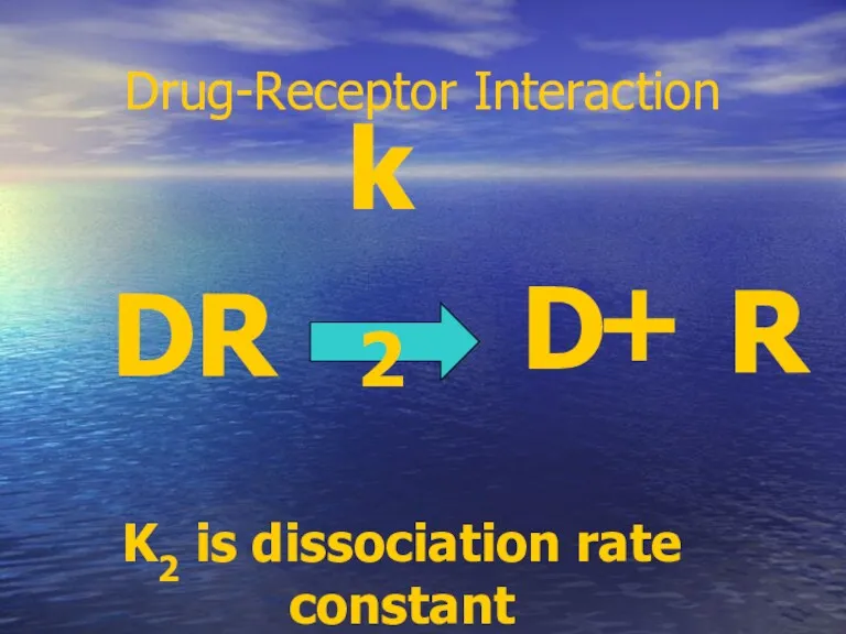 Drug-Receptor Interaction D + R DR k2 K2 is dissociation rate constant
