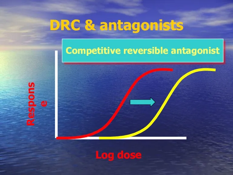 DRC & antagonists Competitive reversible antagonist Log dose Response