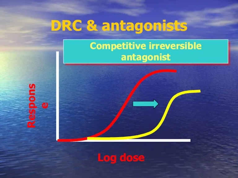 DRC & antagonists Competitive irreversible antagonist Log dose Response