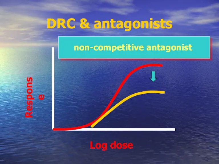 DRC & antagonists non-competitive antagonist Log dose Response