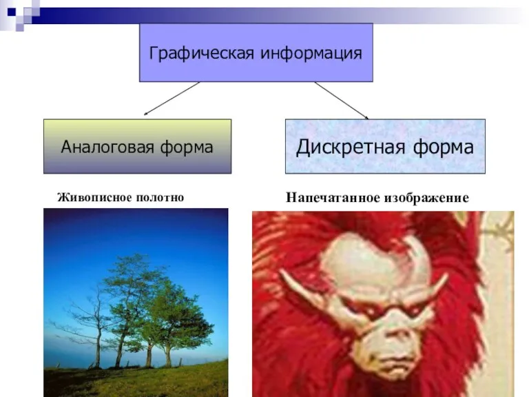 Аналоговая форма Дискретная форма Живописное полотно Напечатанное изображение Графическая информация