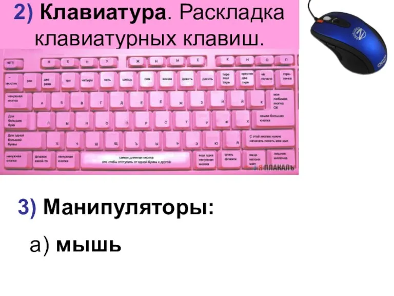 2) Клавиатура. Раскладка клавиатурных клавиш. 3) Манипуляторы: а) мышь