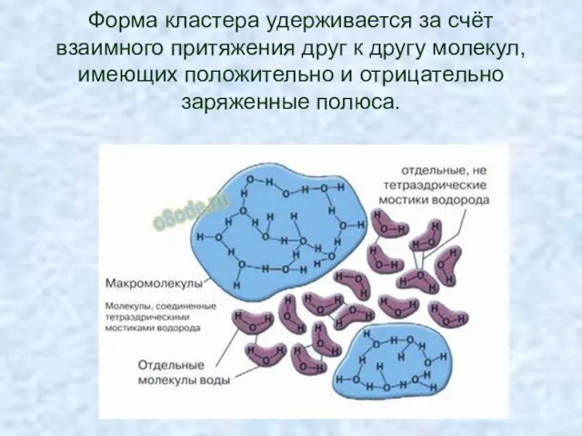 Форма кластера удерживается за счёт взаимного притяжения друг к другу