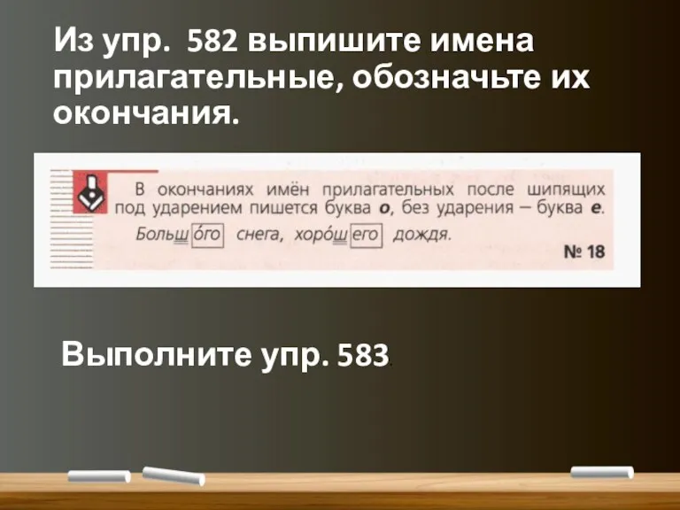 Из упр. 582 выпишите имена прилагательные, обозначьте их окончания. Выполните упр. 583.