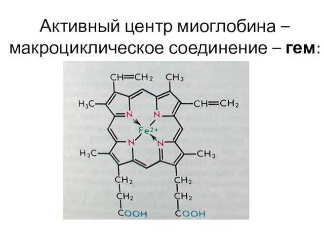 Активный центр миоглобина – макроциклическое соединение – гем: