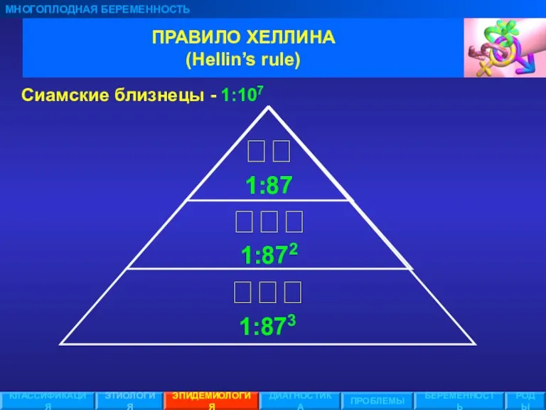 ПРАВИЛО ХЕЛЛИНА (Hellin’s rule) МНОГОПЛОДНАЯ БЕРЕМЕННОСТЬ ЭТИОЛОГИЯ ЭПИДЕМИОЛОГИЯ ПРОБЛЕМЫ БЕРЕМЕННОСТЬ