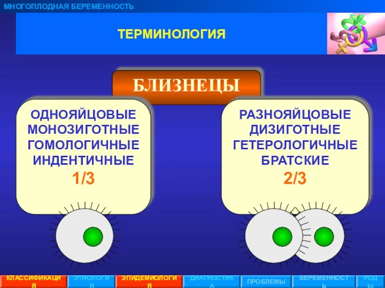 ТЕРМИНОЛОГИЯ МНОГОПЛОДНАЯ БЕРЕМЕННОСТЬ ЭТИОЛОГИЯ ЭПИДЕМИОЛОГИЯ ПРОБЛЕМЫ БЕРЕМЕННОСТЬ РОДЫ КЛАССИФИКАЦИЯ ДИАГНОСТИКА