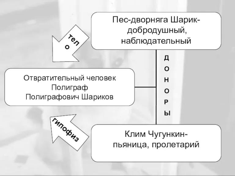 гипофиз тело Д О Н О Р Ы